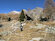 Salendo verso l'Alpe Rogneda