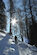 All'ombra del bosco si inizia la gita