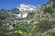 la Malga Torena ed il Monte Torena