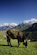 Idilliaco paesaggio engadinese