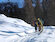 Sulla strada che entra in Val Caldenno