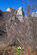 salendo al Monte S. Martino