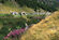 L'Alpe Caldenno